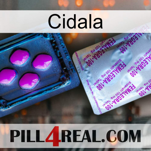 Cidala 37